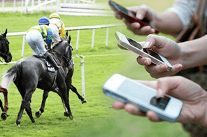 Horse racing betting in New Zealand.