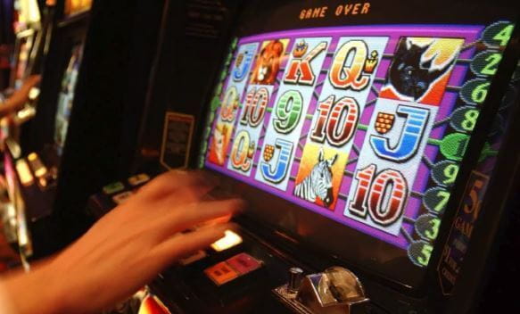 Northland Gamblers spend NZD$8.4 million on poker