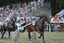 A standing crowd fills the stalls and the space alongside the grass race track. A driver dressed in green and white is in the sulky behind a harnessed horse. The horse has green ear coverings which match the driver’s clothes.