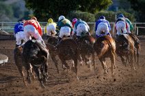 Ten horses are racing fast and close together on a brown dirt track. Soil flies through the air. The jockeys are colourfully dressed.